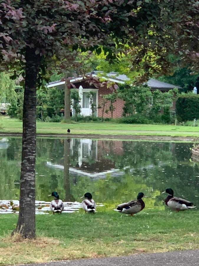 Willa Bed En Natuurhuisje Laren  Zewnętrze zdjęcie