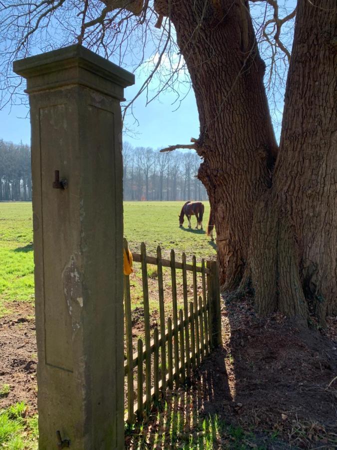 Willa Bed En Natuurhuisje Laren  Zewnętrze zdjęcie